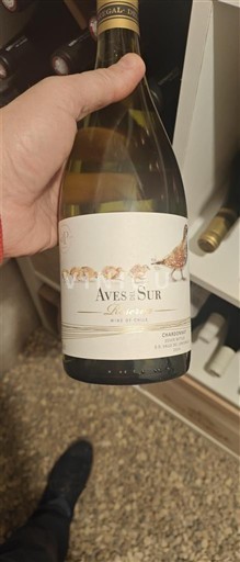 Maipo-dalen Maipo Central Aves del Sur Reserva Ikke-årgang