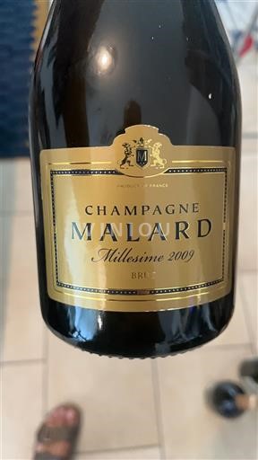 Champaña Champán Champagne Malard Millésime 2009 2009