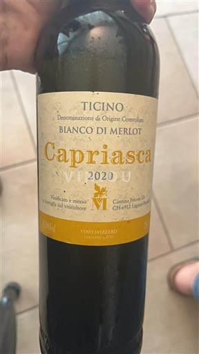 Ticino Không được chỉ định Capriasca Bianco di Merlot 2020