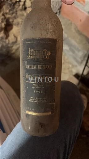 Roussillon Muscat de Rivesaltes Château Blanes 1996