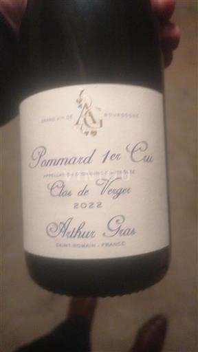 Bourgogne Ikke specificeret Premier Cru Ashux Gras Clos de Verger 2022