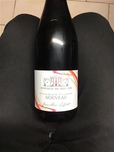Beaujolais Beaujolais byar Domaine Bel-Air Nouveau 2014