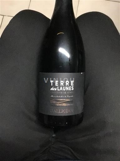 Vale do Ródano Costières de Nîmes Valliguières Terre des Launes 2015