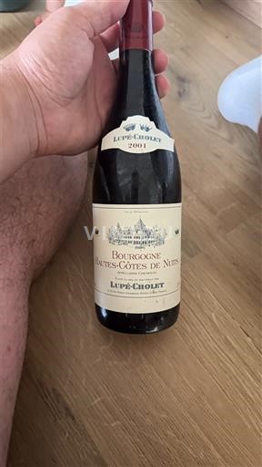 Burgundi Hautes Côtes de Nuits Lupé-Cholet 2001