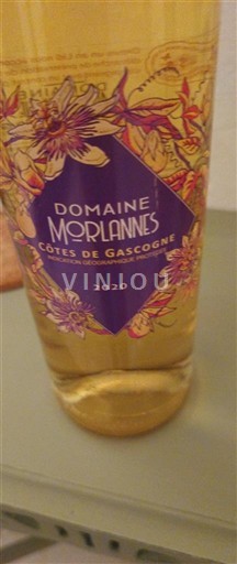 Lounais-Ranska Gascognen rinteet Domaine Morlannes 2020