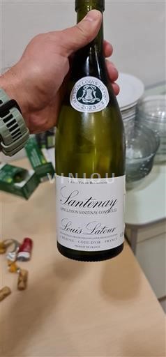Burgundy Santenay Louis Latour 2022