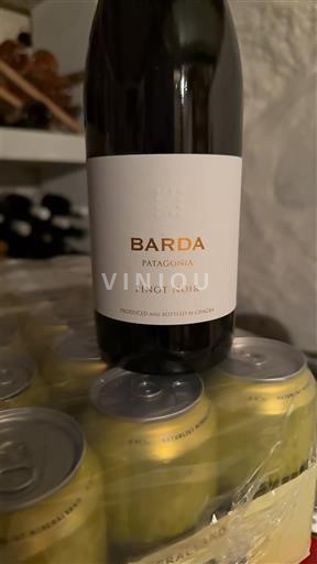 Patagonia Không được chỉ định Barda 2020