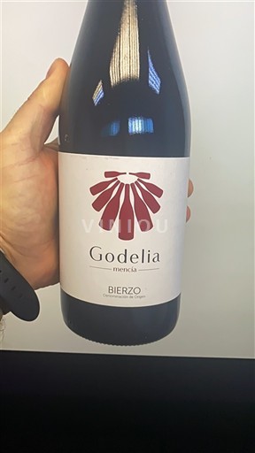 Castilien og León Bierzo Godelia Mencía 2019