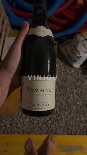 Burgundy Pommard Domaine Vaudoisey 2018