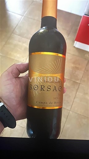 Aragonien Campo de Borja Borsao Barrica 2020