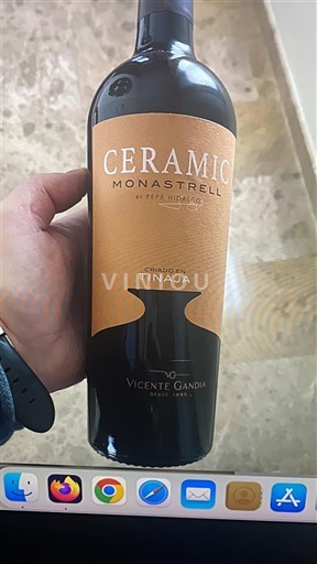 Valencia-regionen Valencia Vicente Gandia Ceramic Monastrell 2020