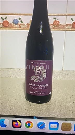 Baden Vulkanfelsen 2020