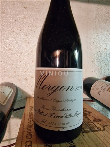 Beaujolais Morgon J. Foillard 2019