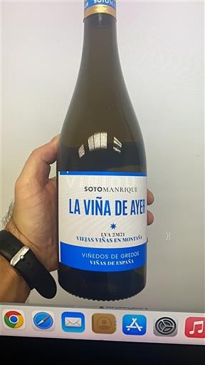 Madrid Vinos de Madrid SotoManrique La Viña de Ayer 2021