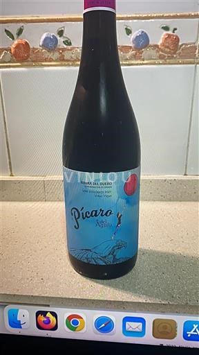 Castilië en León Ribera del Duero Bodegas y Viñedos Alvar de Dios Pícaro del Águila 2021