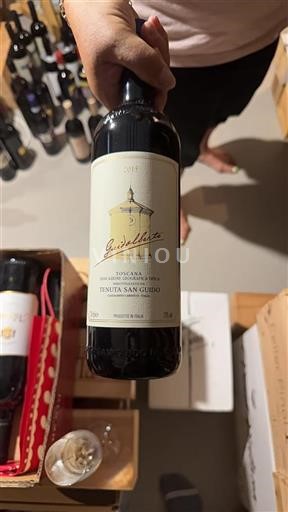 Toskana Ni doloceno Tenuta San Guido Guidalberto 2015