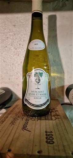 Valle della Loira Non specificato Domaine Verde 2022