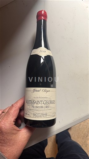 Burgundy Nuits-Saint-Georges Premier Cru Gérard Chicotot 2019