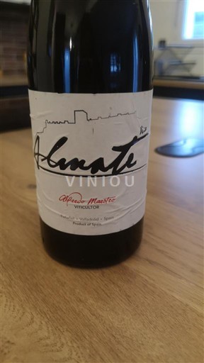 Castille et León Ribera del Duero Alfredo Maestro Almate 2018