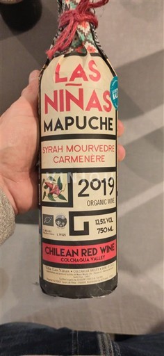 Valle del Rapel Valle de Colchagua Las Niñas Mapuche 2019