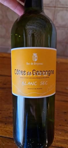 Sudoeste Côtes de Gascogne Roc de Breyssac Sin añada