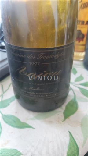 Vallée de la Loire Anjou Domaine Des Troglodytes 1997