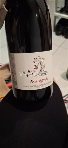 Valle della Loira Saint-Nicolas-De-Bourgueil Fruit défendu 2022