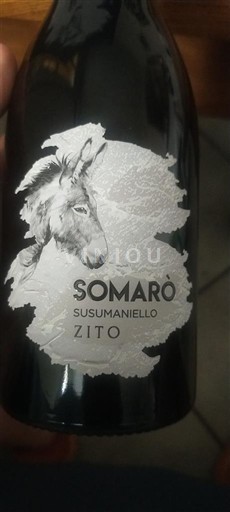 Puglia Susumaniello Salento Zito Somarò Non-Vintage