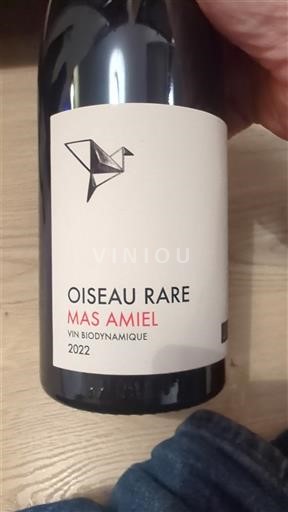 Vinhos Rouge sec Oiseau rare Mas Amiel 2022 França Roussillon Côtes do Roussillon AOC