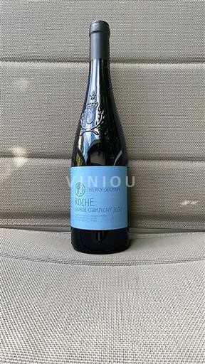 Loire Valley Saumur-Champigny Thierry Germain Roche 2022