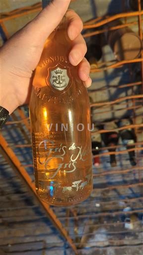 Linguadoca e Rossiglione Sabbie di Camargue Domaine Saint-Louis Gris de Gris Senza annata