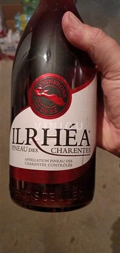 Poitou-Charentes Pineau-des-Charentes Vignerons de l'Île de Ré ILRHÉA 2019