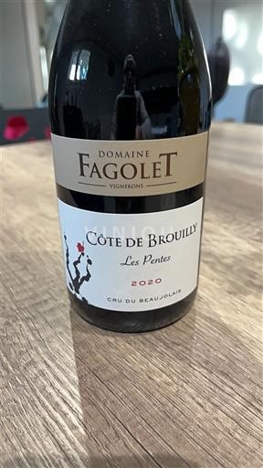 Beaujolais Côte de Brouilly Domaine Fagolet Les Pentes 2020