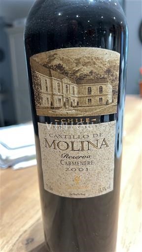 Thung lũng Curicó Thung lũng Curico Castillo de Molina Reserva Carmenere 2001