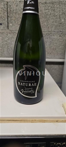 Champaña Champán Vincent Astrée Naturae Sin añada