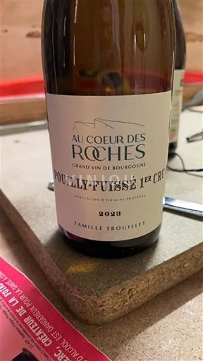 Bourgogne Ikke specificeret Premier Cru Au Coeur des Roches 2023