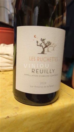 Údolí Loiry Reuilly Terre Antoinette de la Vierge Les Ruchettes 2022