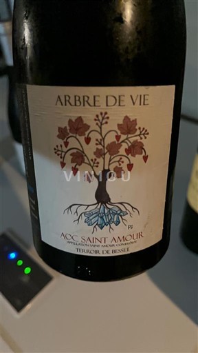 Beaujolais Thánh Tình Yêu Arbre de Vie Terroir de Besset 2019
