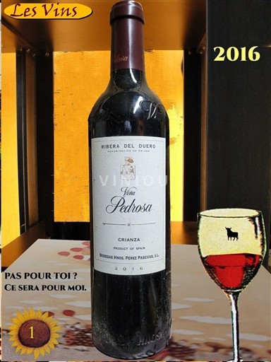 Castille và León Ribera del Duero Viña Pedrosa 2016