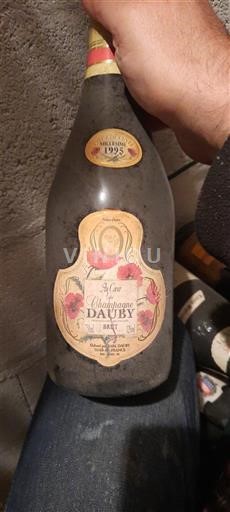 Champaña Champán Champagne Dauby 1995