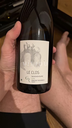 Valle della Loira Non specificato Vincent Rousseau Le Clos 2022