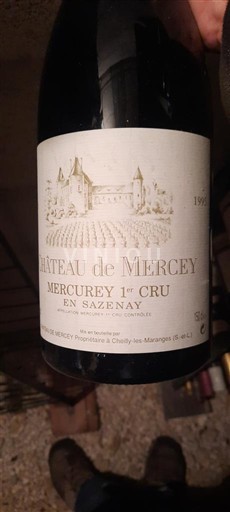 Bourgondië Mercurey Premier Cru Château Mercey En Sazenay 2003