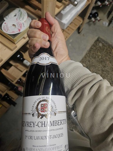 Burgundi Gevrey-Chambertin Premier Cru Domaine Harmand-Geoffroy Lavaux St-Jacques 2017