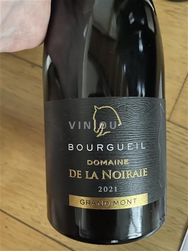Valle del Loira Bourgueil Domaine de la Noiraie Grand Mont 2021