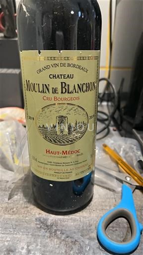Bordeaux Haut-Médoc Château Moulin de Blanchon 2019