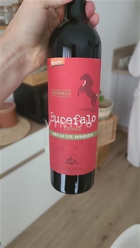 Abruzzo Đất Chieti Lunaria Bucefalo Không niên vụ