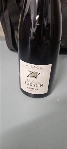 Alsace Valentin Zusslin Ophrys 2022