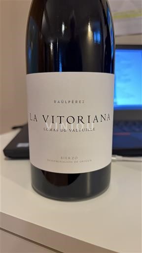 Кастилія і Леон Б'єрсо Raúl Pérez La Vitoriana Lomas de Valtuille 2021