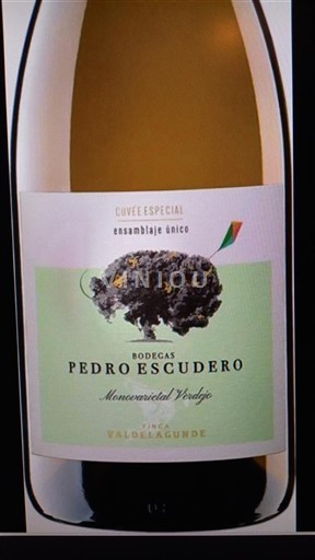 Vina Blanc sec Valdelagunde Cuvee Especial Verdejo Bodegas Pedro Escudero 2024 Španija Kastilja in León Rueda DO