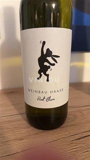 Spodnja Avstrija Termalna regija Weinbau Haase Pinot Blanc Neleten.